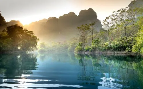 智能独特智能